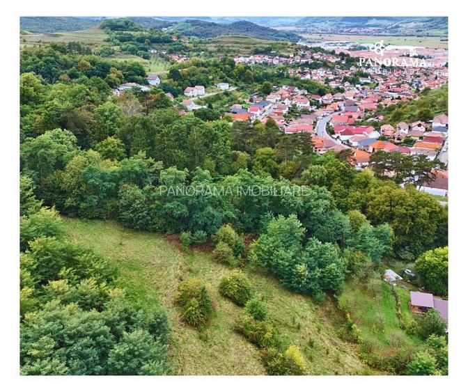 Teren intravilan de aproape 3 ha la liziera pădurii | cartierul Gloria - 5