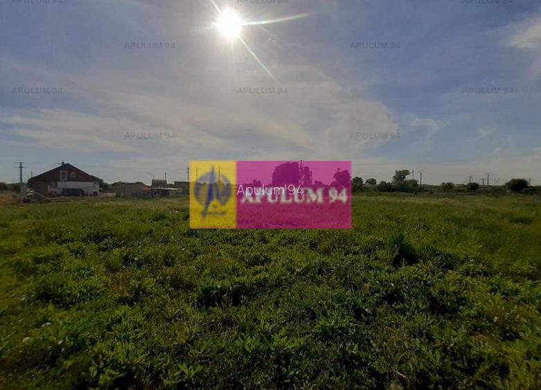 Teren construcție casă - 1 Decembrie - Zona Metropolitană București - 25