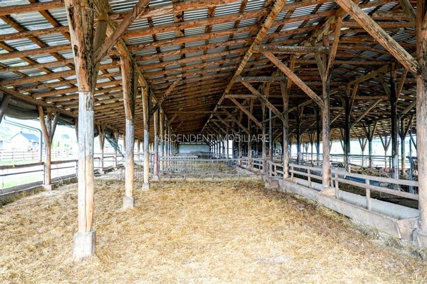 Ferma+Anexe specifice+ Constructie rezidentiala+222.000 mp domeniu - 36