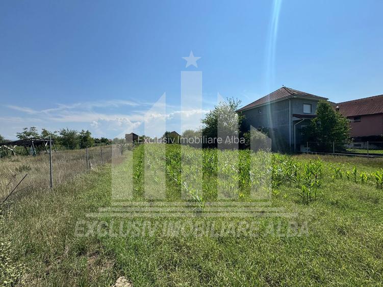 Teren intravilan de vanzare, Micesti - 3