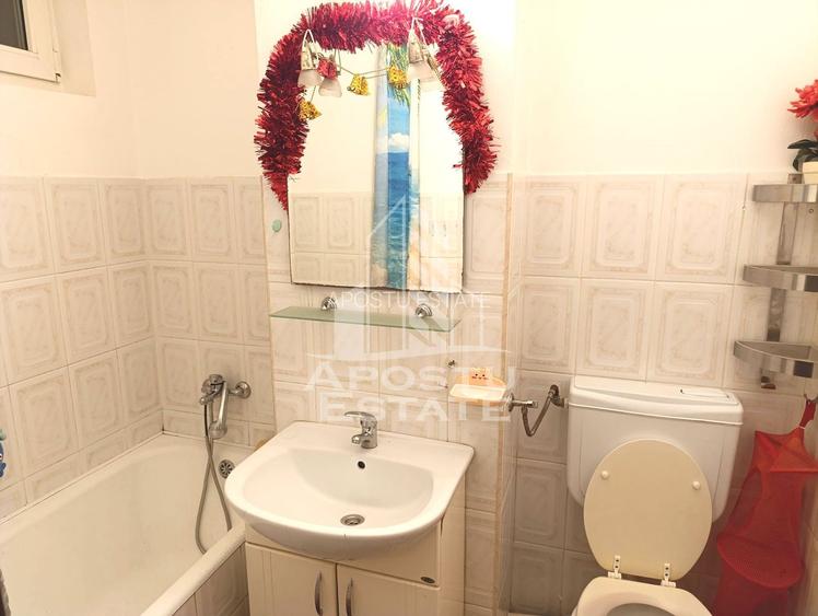 Apartament de vanzare, 2 camere, etaj intermediar, Cetatii, Timisoara - 6