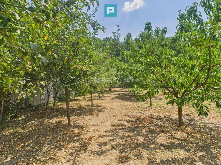 Teren edificabil 1106 mp – Dumbrăvița - 7