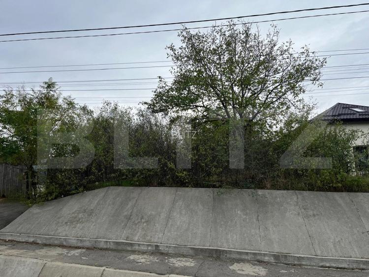 Teren 1895 mp, in Carcea, front 21 ml, toate utilitatile - 3