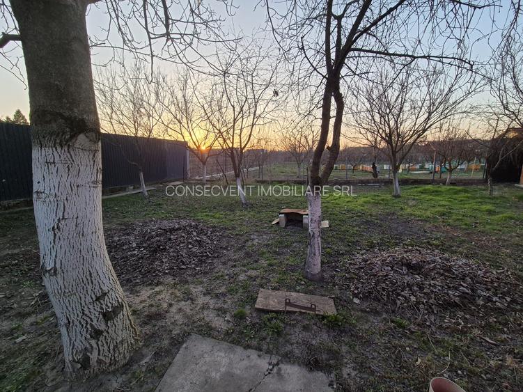 Casă la sol utilata, Micălaca, teren 765 mp, front 27 m, 0% comision - 11