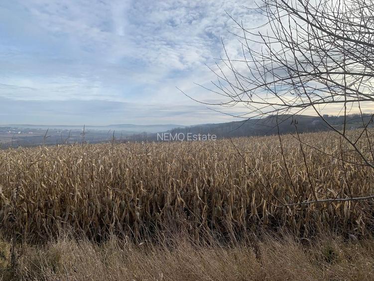 Teren intravilan de vânzare | Cajvana | 7.800 mp - 7