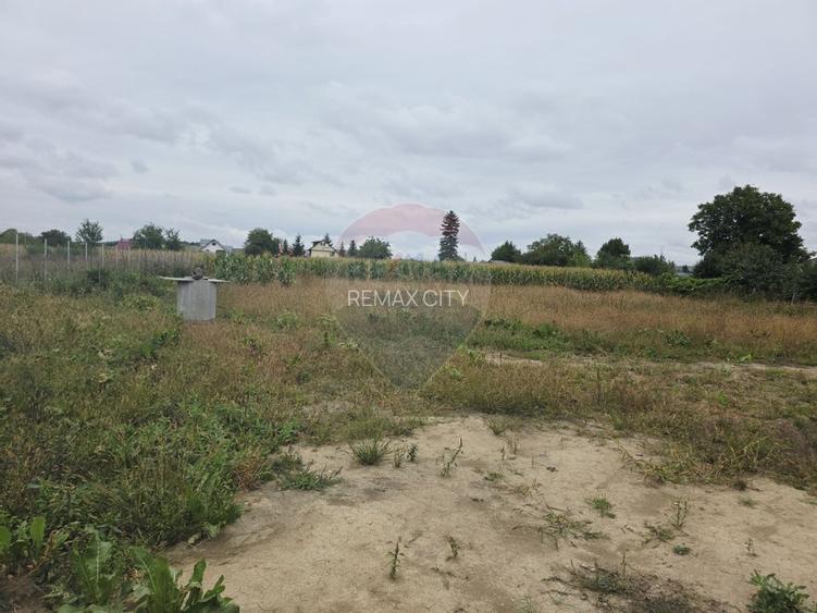 Casă cu livadă și teren generos – Girov - 47