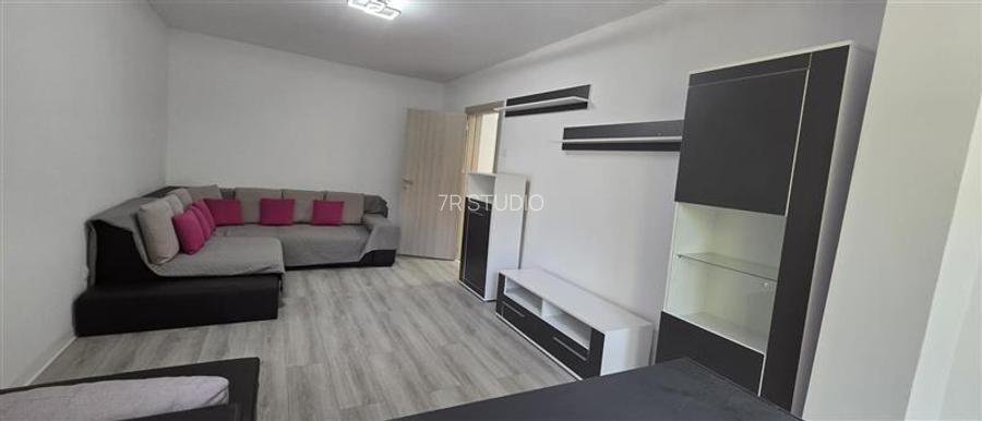 Inchiriere apartament 2 camere Teiul Doamnei - 14