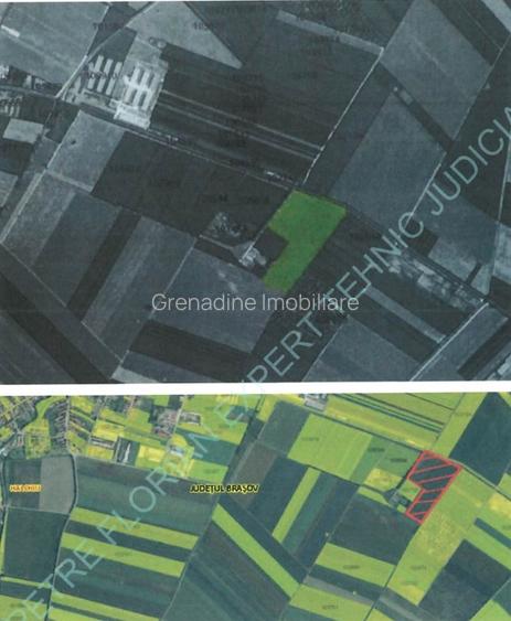 Teren 50000mp Extravilan-Intrare Halchiu-Cod 5235 - 7