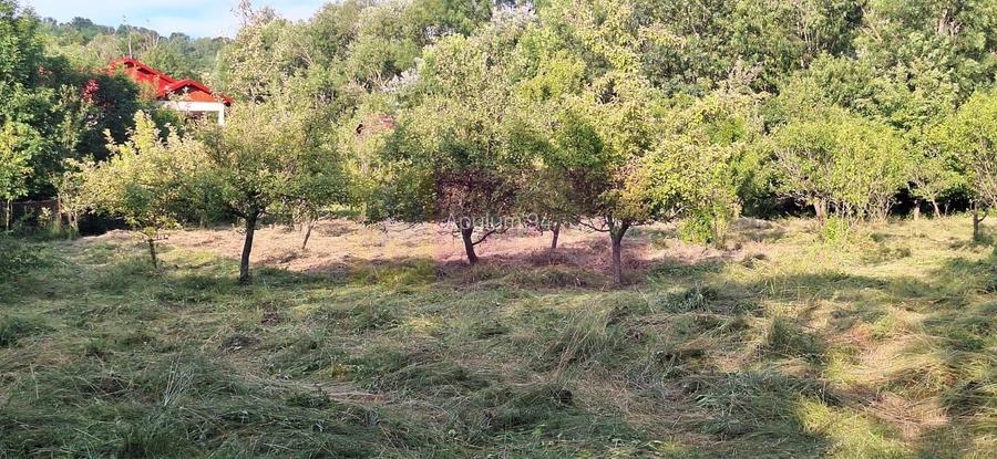 Vila de vanzare cu 6 camere si teren de 5116 mp in Cornu, Prahova - 36