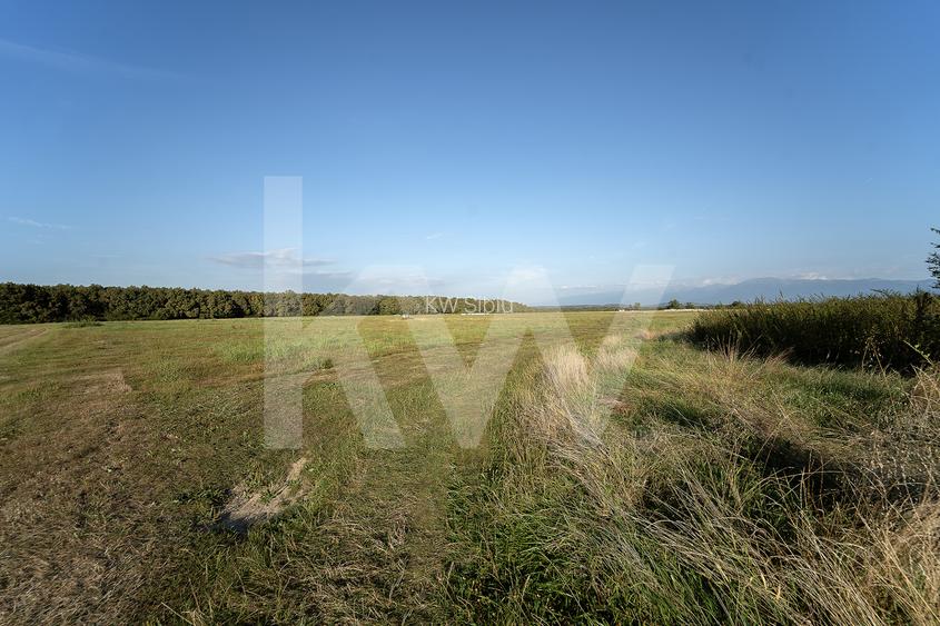 Teren extravilan 600 mp | Zona Șopa – Cisnădie | Front 18,30 m - 5