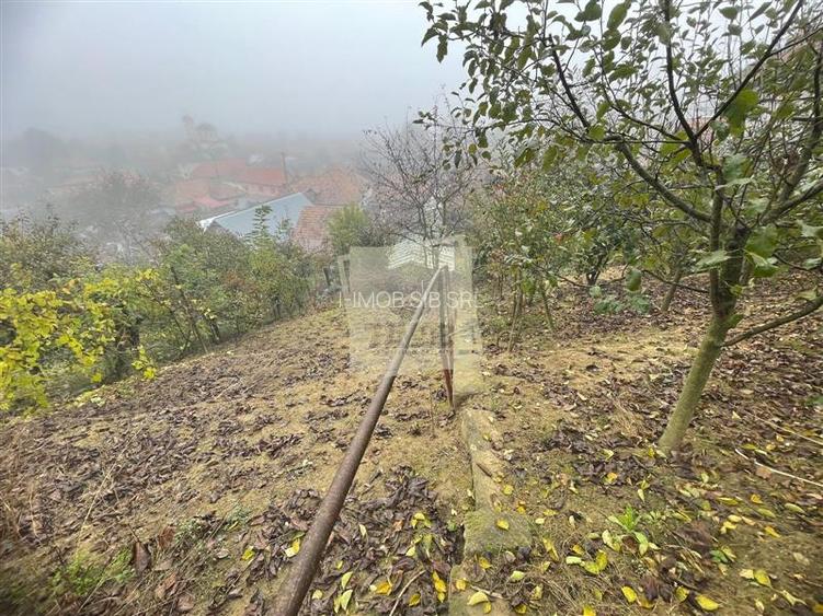Casa individuala cu 6 camere si 3 bai si 1413 mp teren in Blaj - 3