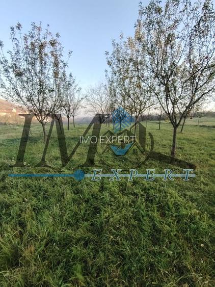 Teren intravilan în Paclisa 1785mp. - 6