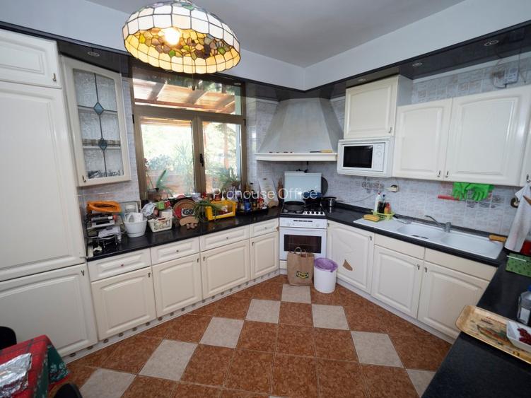 VANZARE DOMENIU CU DESCHIDERE  LA LACUL SNAGOV - 10