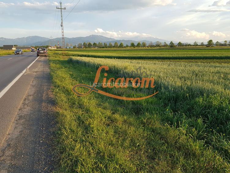 Teren Stupini Calea Feldioarei 11800 mp,25 euro/mp, front asfalt-DN13 - 8