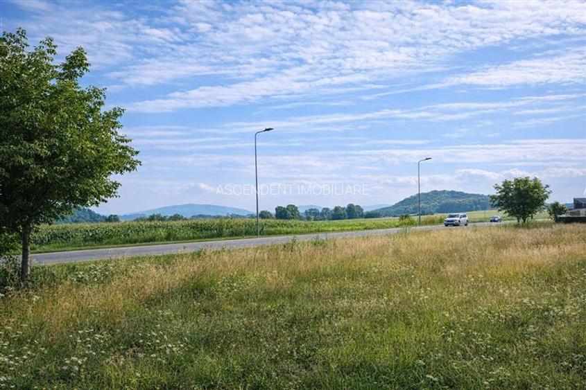 15 min de Brasov, 800 mp teren - 5