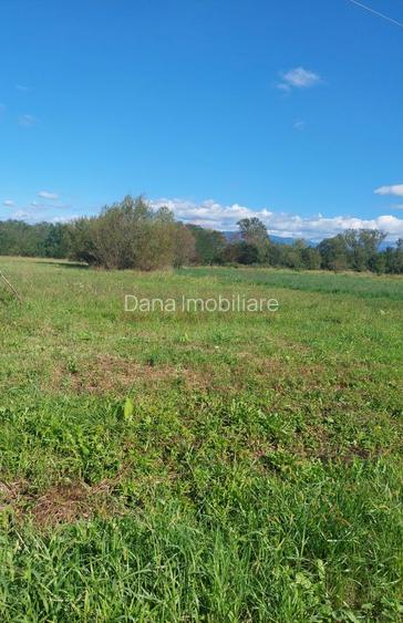 TEREN INTRAVILAN CU PUZ\ 704 MP\CARANSEBEȘ\ ZONA TEIUȘ - 6