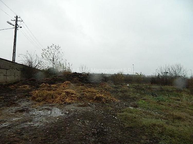 Teren intravilan curti-constructii - 4
