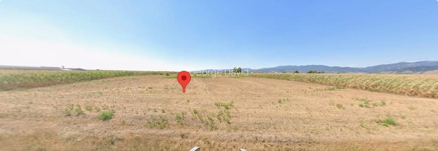 Teren Intravilan industrial  - 3