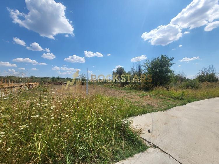 Teren 579 mp | Soseaua Cernica | Pantelimon - 5
