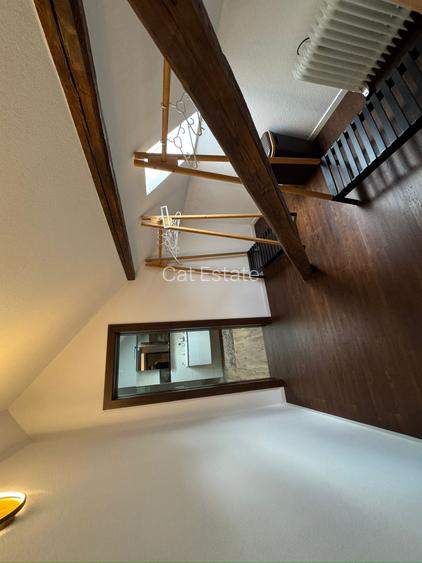 Penthouse zona Medicinei - 9