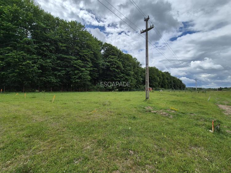 Teren 1000 mp intravilan/Sambata de Sus Brasov - 6