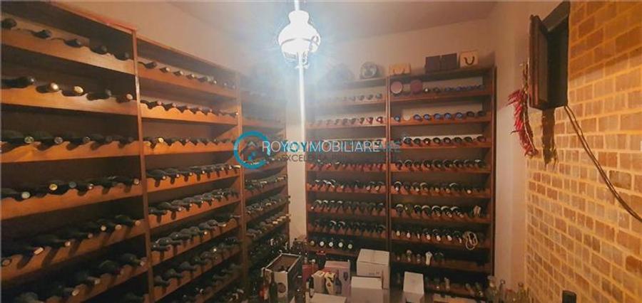 Royal Imobiliare - vanzare vila de lux, zona Albert - 26