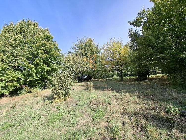 Comision 0. Teren cu autorizatie de construire in Salicea - 4