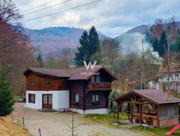 Cabana / Casa de vacanta pe Transfagarasan - Sibiu - 12