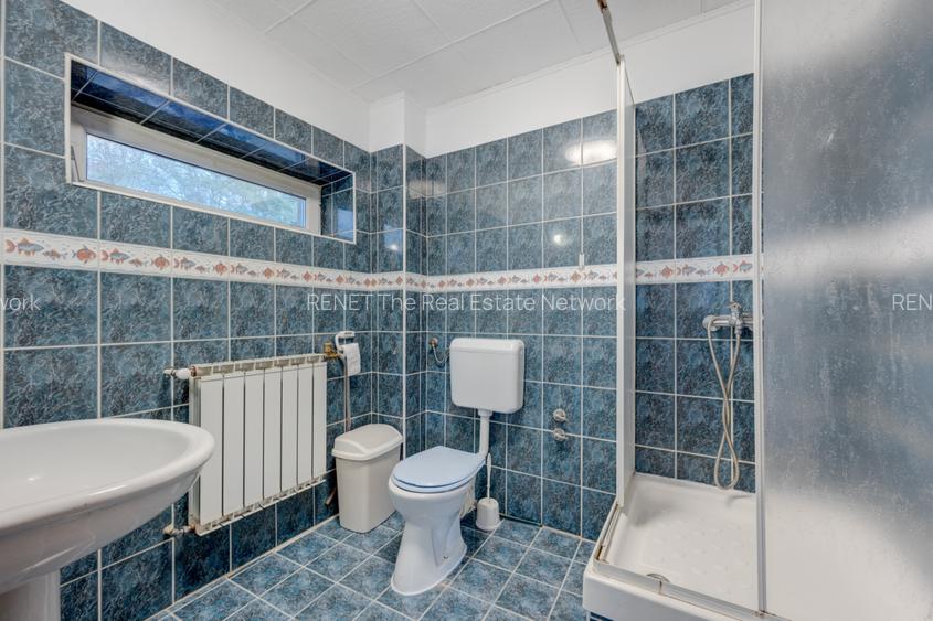 Vila de vanzare Domenii-Ion Mihalache - 17