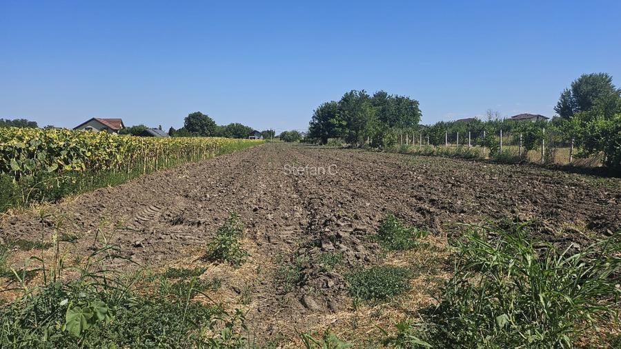 Teren intravilan 4000m2 - Cazasu, Braila - 4