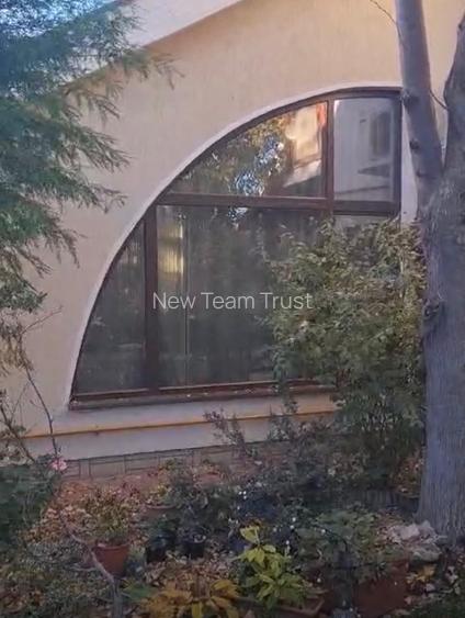 Vanzare Vile  Pipera  Scoala Americana - 15