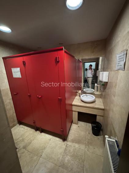 Cladire de Birouri Hala Productie Soseaua Alexandriei Stradal - 13