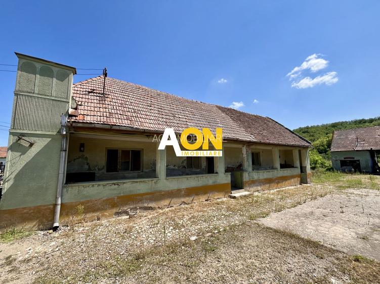 Teren Împrejmuit, 3514mp, Asfalt, Ciugud - 4