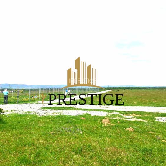 Teren Valea Avrigului – 1.000 mp | 1 km Dino Park | 25 €/mp - 5