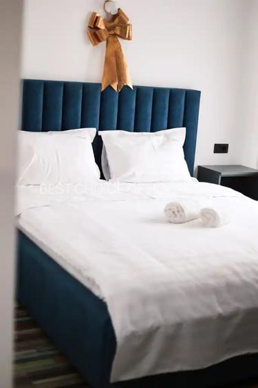 CABANA 2025 , VORONET ,6 CAMERE ,echipate  , 2000 lei / zi , MINIM  DOUA ZILE - 32