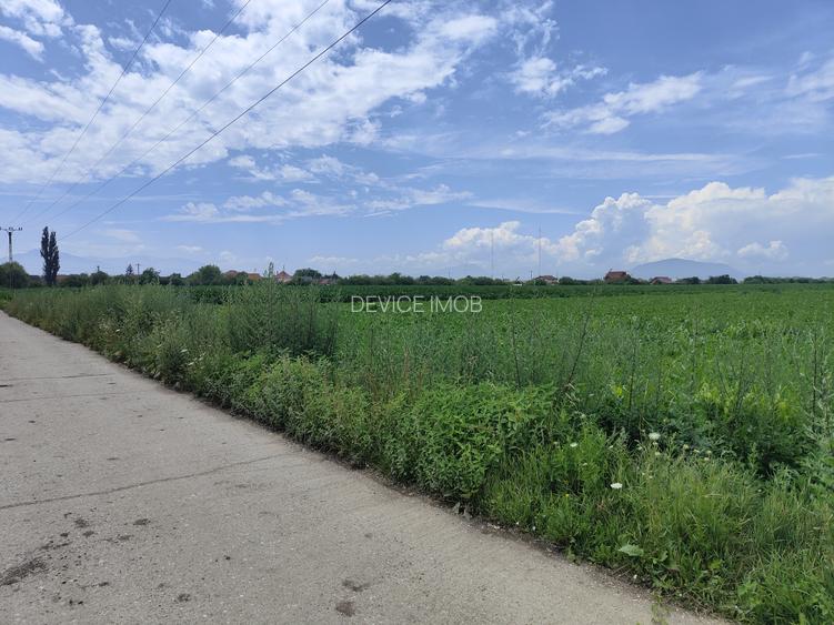 Teren industrial Bod -Drum Betonat -Utilitati - 4