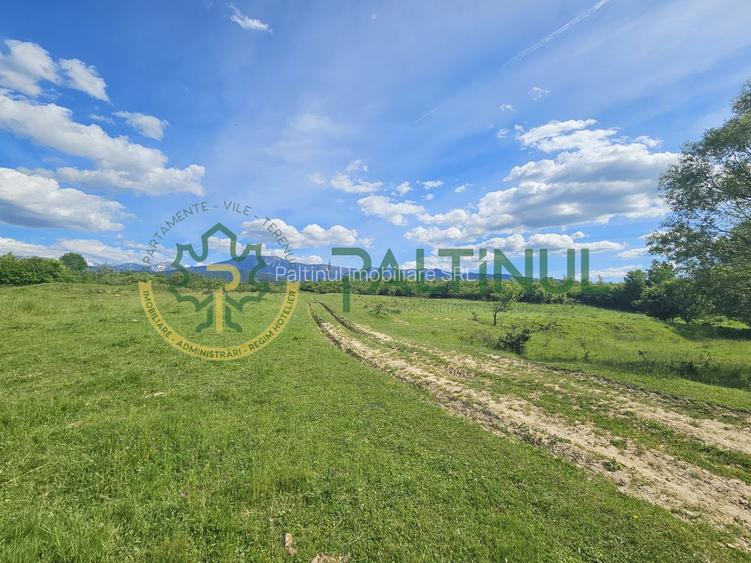 Teren de vânzare în Racovița, Sibiu – Valea Lupului - 3