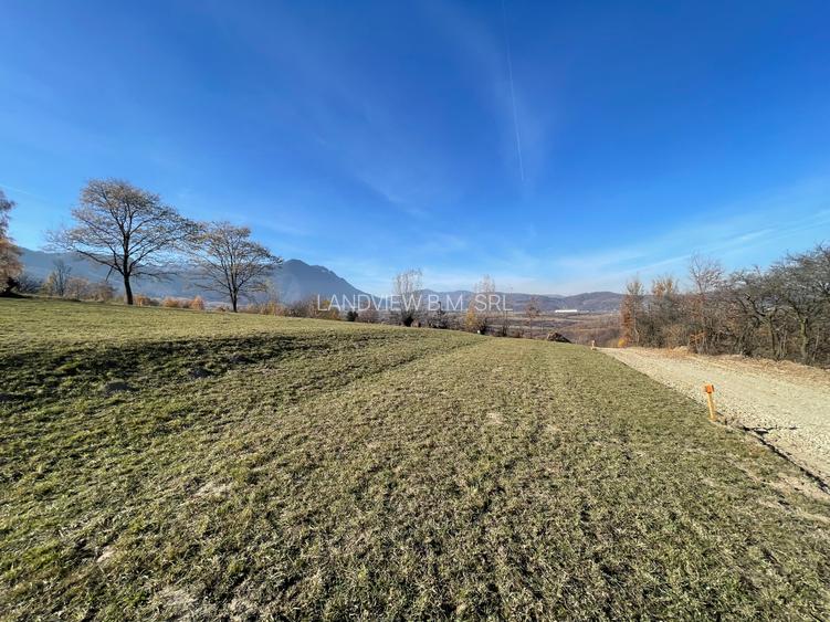 Teren intravilan  intre 500 si 1000 mp cu vedere panoramica   zona  Tohanita - 2