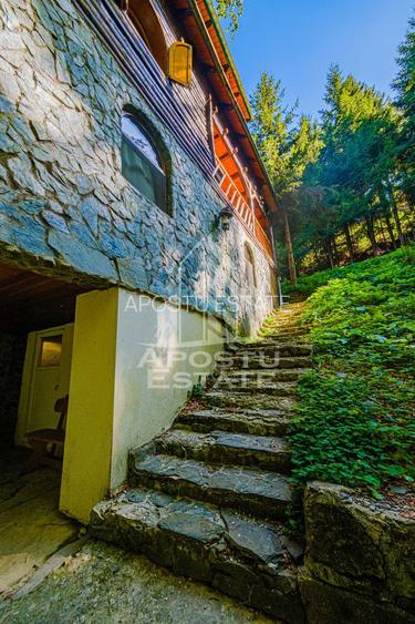 Pensiune, casa de vacanta, 6 camere, statiunea Rausor din Hunedoara - 14