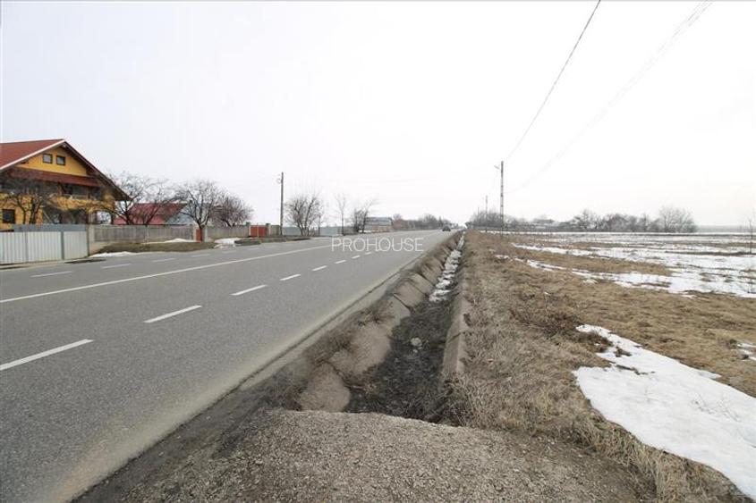 Dumbrava - 12.172mp - extravilan - 2