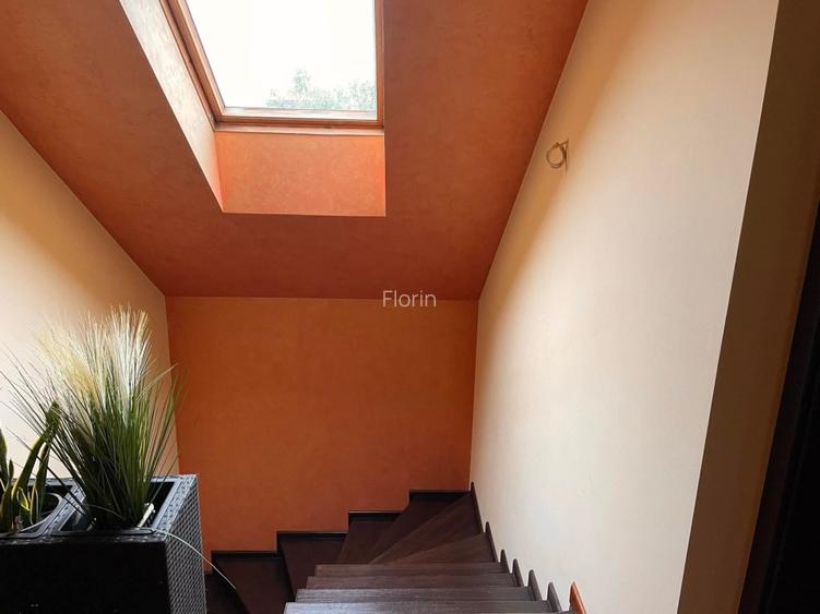 Casa de vanzare in Sag zona linistita, aproape de Timisoara - 5