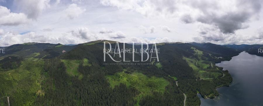 7831mp Padure | 1200mp construbili | 5.min Partie Transalpina | 177m Lac Vidra - 2