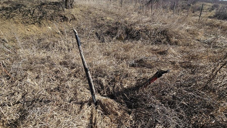 20 Euro/mp, Teren superb, 5.665 mp, Valea Fantelor-Iris - 5