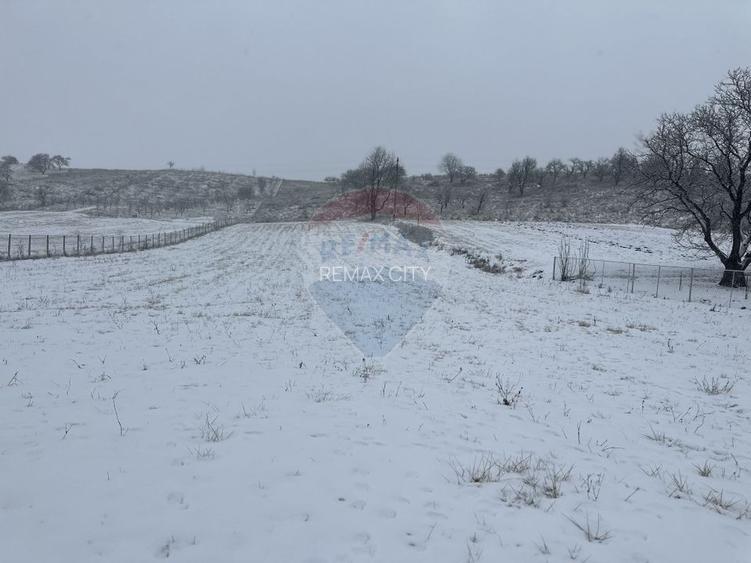 Teren 8,300mp Negresti (Dobreni) / Drumul DEALUL OTEL - 2