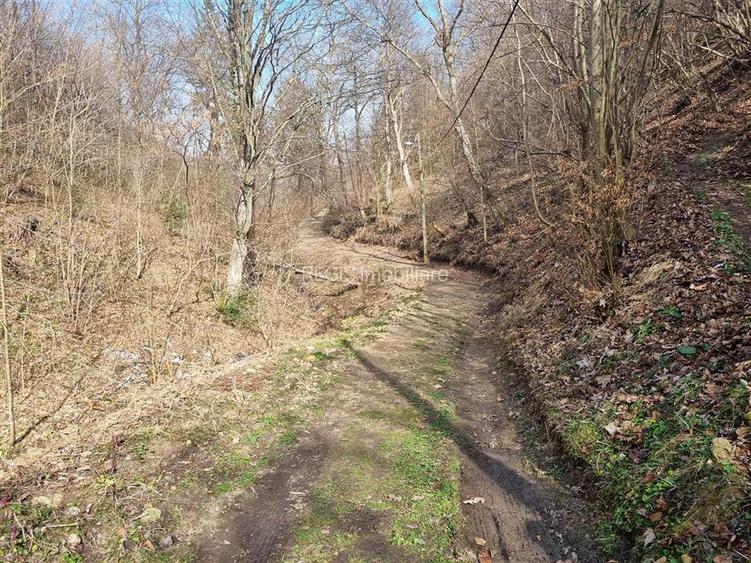 Teren arabil intravilan , priveliste mirifica , zona Schei - 8