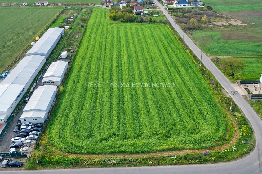 Teren intravilan 7.811 mp | Ciolpani, Ilfov | Acces drum public - 2