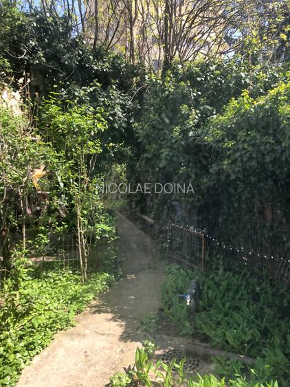 De vanzare casa curte comuna pe str Aurel Vlaicu 5 min Stefan cel Mare - 10