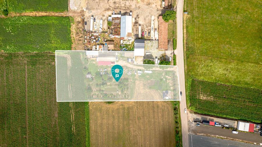 Teren intravilan 5500 mp Sânleani - 2