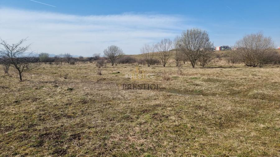 FĂRĂ COMISION | TEREN 1000 MP ȘELIMBĂR ZONA TROIȚĂ | INVESTIȚIE - 10