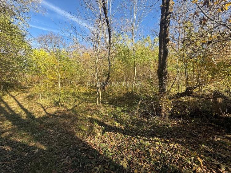 Teren langa pădure 6400mp+casa demolabila-deschidere 35 ml - 5